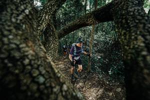 BIB: 
                            <button type="button" onclick="openModal(25391920)" class="btn btn-primary btn-sm float-right btn-popup" data-toggle="modal" data-target=".modal-high-quality">
                        <i class="fas fa-shopping-cart"></i> Add to Cart
                    </button>
                                            <button type="button" onclick="isThisMe(25391920, true)" class="btn btn-success btn-sm float-right btn-popup btn-isme hidden" data-toggle="tooltip" data-placement="bottom" title="นี่คือรูปของคุณใช่ไหม คลิกที่นี่เพื่อเอาเข้าอัลบั้ม">
                        <i class="fas fa-plus"></i> Add to album
                    </button>
                    <button type="button" onclick="isThisMe(25391920, false)" class="btn btn-warning btn-sm float-right btn-popup btn-isnotme hidden">
                        <i class="fas fa-ban"></i> Remove from album
                    </button>